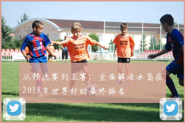 从预选赛到正赛：全面解读冰岛在2018年世界杯的最终排名