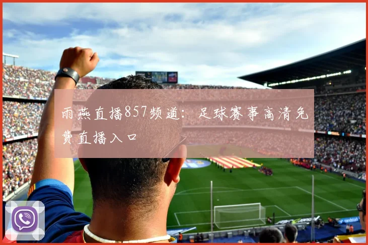 雨燕直播857频道：足球赛事高清免费直播入口