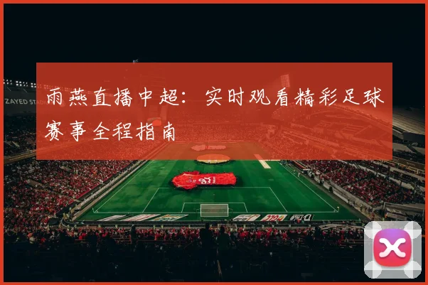 雨燕直播中超：实时观看精彩足球赛事全程指南